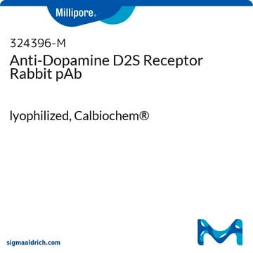 Anti-Dopamine D2S Receptor Rabbit pAb lyophilized, Calbiochem&#174;