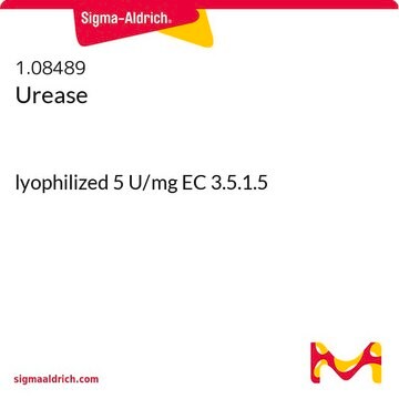 Urease lyophilized 5 U/mg EC 3.5.1.5