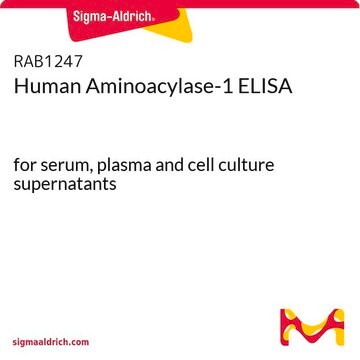 Human Aminoacylase-1 ELISA for serum, plasma and cell culture supernatants