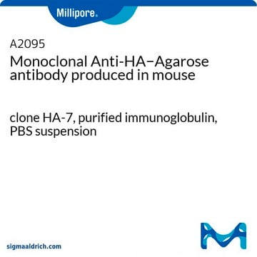 モノクローナル抗HA抗体-アガロース結合 マウス宿主抗体 clone HA-7, purified immunoglobulin, PBS suspension