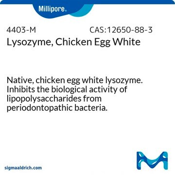 Lysozyme, Chicken Egg White Native, chicken egg white lysozyme. Inhibits the biological activity of lipopolysaccharides from periodontopathic bacteria.