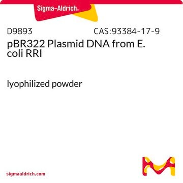 pBR322 Plasmid DNA from E. coli RRI lyophilized powder