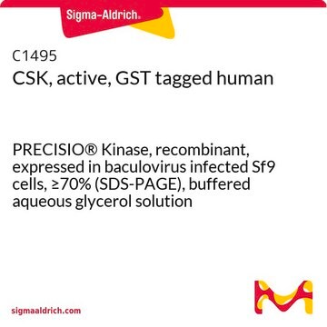 CSK, active, GST tagged human PRECISIO&#174; Kinase, recombinant, expressed in baculovirus infected Sf9 cells, &#8805;70% (SDS-PAGE), buffered aqueous glycerol solution