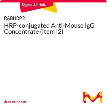 HRP-conjugated Anti-Mouse IgG Concentrate (Item I2)