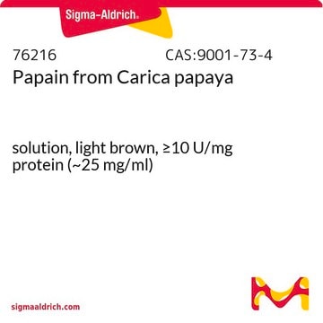 パパイン from Carica papaya solution, light brown, &#8805;10&#160;U/mg protein (~25 mg/ml)