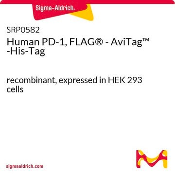 Human PD-1, FLAG&#174; - AviTag&#8482; -His-Tag recombinant, expressed in HEK 293 cells