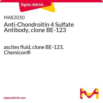 Anti-Chondroitin 4 Sulfate Antibody, clone BE-123 ascites fluid, clone BE-123, Chemicon&#174;