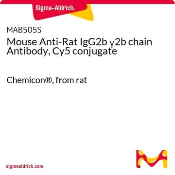 Mouse Anti-Rat IgG2b &#947;2b chain Antibody, Cy5 conjugate Chemicon&#174;, from rat