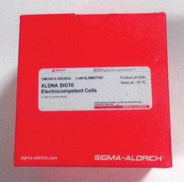 XLDNA SIG10 Electrocompetent cells for BAC &amp; cosmid cloning