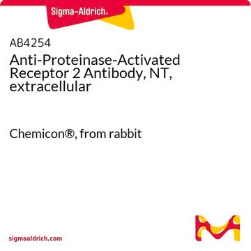 Anti-Proteinase-Activated Receptor 2 Antibody, NT, extracellular Chemicon&#174;, from rabbit