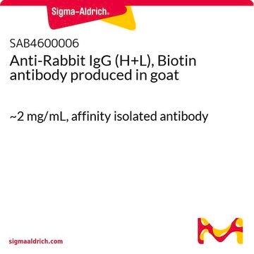 Anti-Rabbit IgG (H+L), Biotin antibody produced in goat ~2&#160;mg/mL, affinity isolated antibody