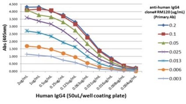 Rabbit-Anti-Human IgG4 Antibody, clone RM120 clone RM120, from rabbit