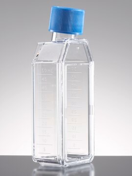 Corning&#174; Primaria Cell Culture Flask capacity 25&#160;mL, straight neck, cap, vented