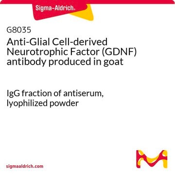 Anti-Glial Cell-derived Neurotrophic Factor (GDNF) antibody produced in goat IgG fraction of antiserum, lyophilized powder