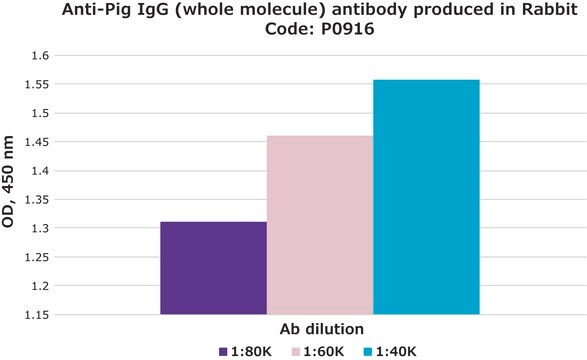 Anti-Pig IgG (whole molecule) antibody produced in rabbit whole antiserum