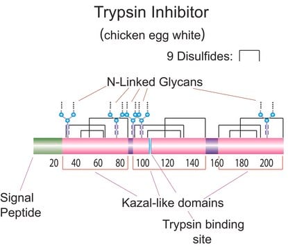 Trypsin inhibitor from chicken egg white Type IV-O, Purified Ovoinhibitor