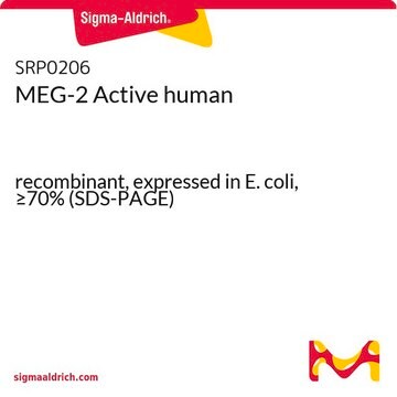 MEG-2 Active human recombinant, expressed in E. coli, &#8805;70% (SDS-PAGE)