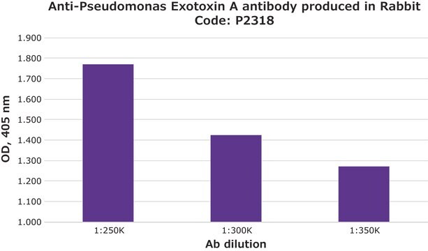 Anti-Pseudomonas Exotoxin A antibody produced in rabbit whole antiserum