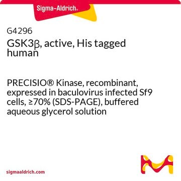 GSK3&#946;, active, His tagged human PRECISIO&#174; Kinase, recombinant, expressed in baculovirus infected Sf9 cells, &#8805;70% (SDS-PAGE), buffered aqueous glycerol solution