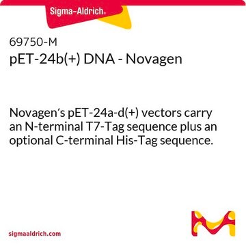 pET-24b(+) DNA - Novagen Novagen&#8242;s pET-24a-d(+) vectors carry an N-terminal T7-Tag sequence plus an optional C-terminal His-Tag sequence.