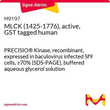 MLCK (1425-1776), active, GST tagged human PRECISIO&#174; Kinase, recombinant, expressed in baculovirus infected Sf9 cells, &#8805;70% (SDS-PAGE), buffered aqueous glycerol solution