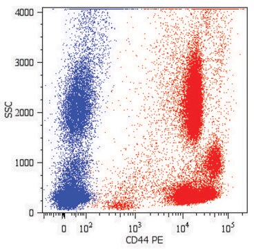 Monoclonal Anti-CD44-PE antibody produced in mouse clone MEM-85, purified immunoglobulin, buffered aqueous solution