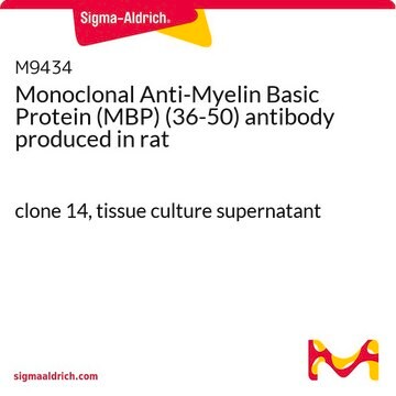 Monoclonal Anti-Myelin Basic Protein (MBP) (36-50) antibody produced in rat clone 14, tissue culture supernatant