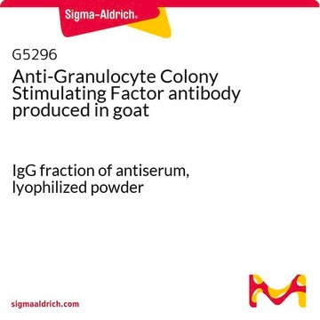 Anti-Granulocyte Colony Stimulating Factor antibody produced in goat IgG fraction of antiserum, lyophilized powder