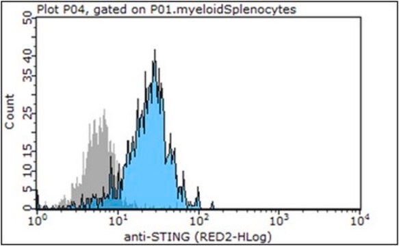 Anti- STING, clone 41 Antibody clone 41, 0.5&#160;mg/mL, from rat