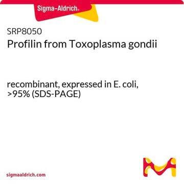 Profilin from Toxoplasma gondii recombinant, expressed in E. coli, &gt;95% (SDS-PAGE)