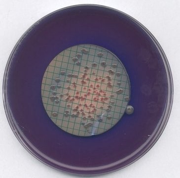 M FC agar GranuCult&#174; plus, suitable for microbiology, for coliforms