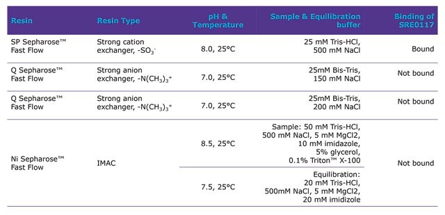 Salt Active Nuclease (SAN) High Purity, recombinant, expressed in Pichia pastoris, Triton-free