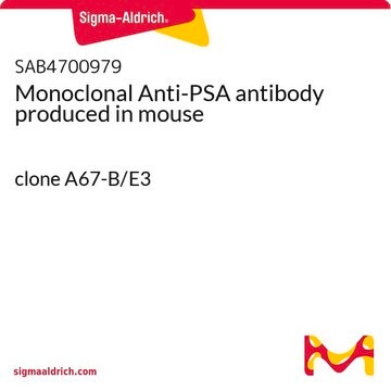 Monoclonal Anti-PSA antibody produced in mouse clone A67-B/E3