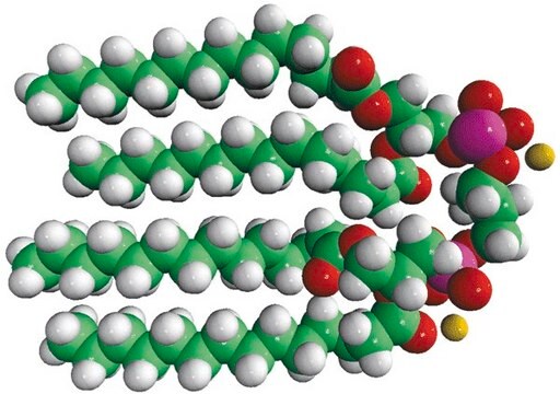 14:0 Cardiolipin (sodium salt) 1&#8242;,3&#8242;-bis[1,2-dimyristoyl-sn-glycero-3-phospho]-glycerol (sodium salt), powder