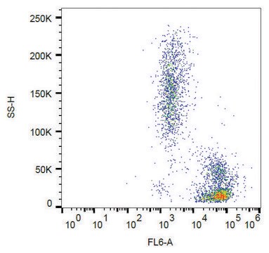 Monoclonal Anti-CD102 antibody produced in mouse clone CBR-IC2/2