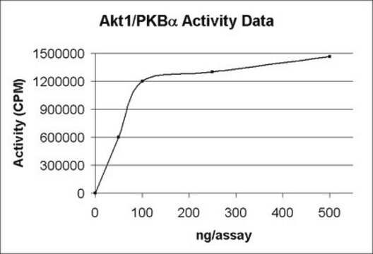 Akt1/PKB&#945; Protein, active, 15 &#181;g Active, recombinant full-length human Akt1, containing N-terminal His6 tag, for use in IP-Kinase Assays &amp; Kinase Assays.