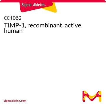 TIMP-1, recombinant, active human