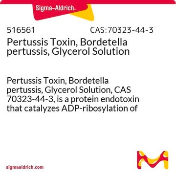 Pertussis Toxin, Bordetella pertussis, Glycerol Solution Pertussis Toxin, Bordetella pertussis, Glycerol Solution, CAS 70323-44-3, is a protein endotoxin that catalyzes ADP-ribosylation of guanine nucleotide-binding regulatory proteins.