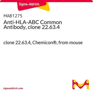 Anti-HLA-ABC Common Antibody, clone 22.63.4 clone 22.63.4, Chemicon&#174;, from mouse