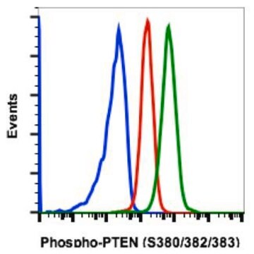 Monoclonal Anti-PTEN (phospho S380/T382/T383) antibody produced in rabbit clone E4