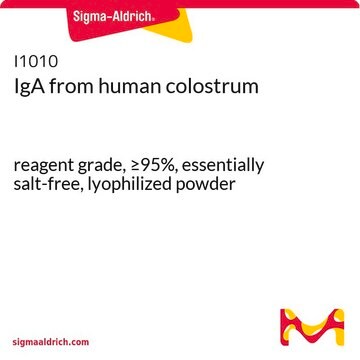 IgA ヒト初乳由来 reagent grade, &#8805;95%, essentially salt-free, lyophilized powder