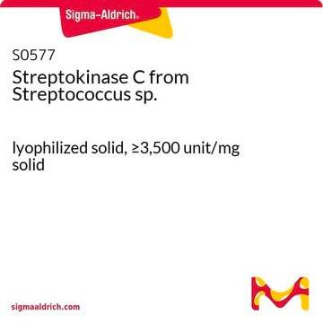 Streptokinase C from Streptococcus sp. lyophilized solid, &#8805;3,500&#160;unit/mg solid