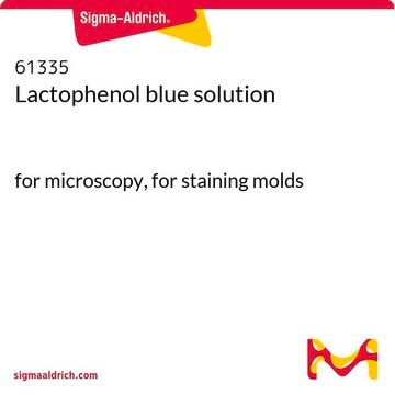 Lactophenol blue solution for microscopy, for staining molds