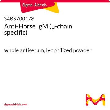 Anti-Horse IgM (&#956;-chain specific) whole antiserum, lyophilized powder