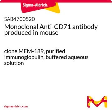 Monoclonal Anti-CD71 antibody produced in mouse clone MEM-189, purified immunoglobulin, buffered aqueous solution