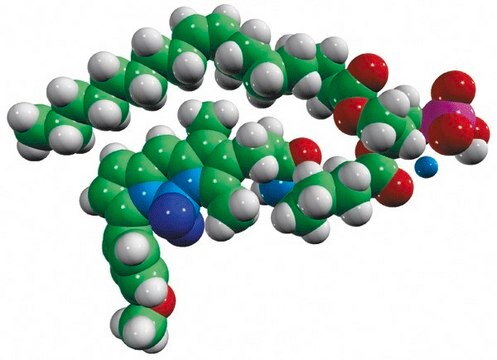 TopFluor&#8482; TMR PA Avanti Research&#8482; - A Croda Brand 810240P, powder