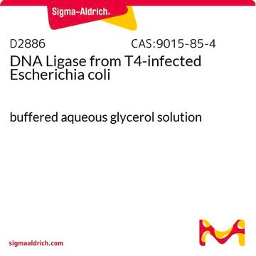 DNA Ligase from T4-infected Escherichia coli buffered aqueous glycerol solution