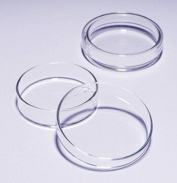 Pyrex&#174; Petri dish diam. × H 120&#160;mm × 20&#160;mm