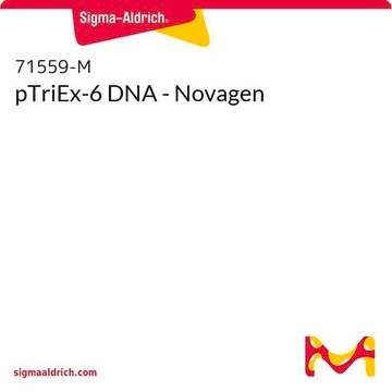 pTriEx-6 DNA - Novagen