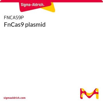 FnCas9 plasmid